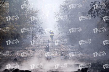 Waldbrandbekämpfung bei Treuenbrietzen