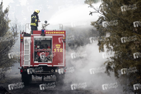 Waldbrandbekämpfung bei Treuenbrietzen