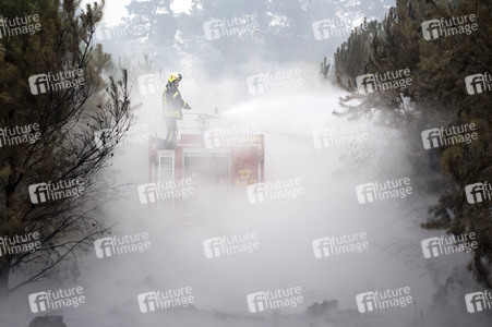 Waldbrandbekämpfung bei Treuenbrietzen