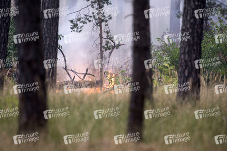 Waldbrandbekämpfung bei Treuenbrietzen