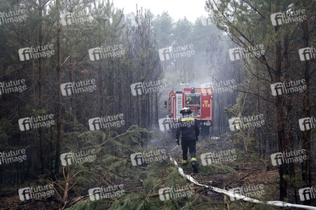 Waldbrandbekämpfung bei Treuenbrietzen