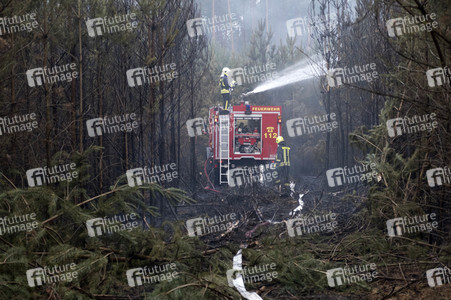 Waldbrandbekämpfung bei Treuenbrietzen