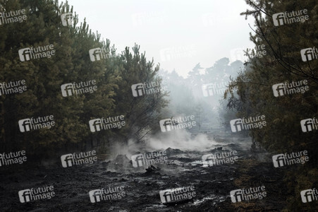 Waldbrandbekämpfung bei Treuenbrietzen