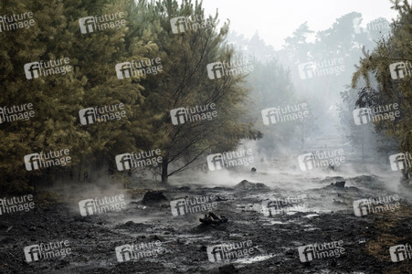 Waldbrandbekämpfung bei Treuenbrietzen