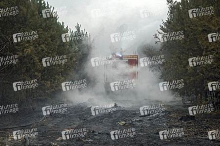 Waldbrandbekämpfung bei Treuenbrietzen