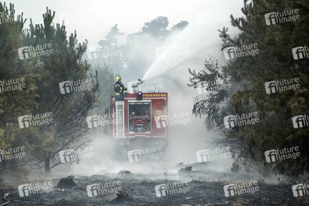 Waldbrandbekämpfung bei Treuenbrietzen