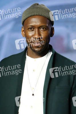 Pressekonferenz 'Green Book', Toronto International Film Festival 2018