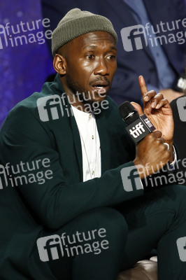 Pressekonferenz 'Green Book', Toronto International Film Festival 2018