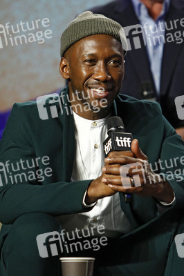 Pressekonferenz 'Green Book', Toronto International Film Festival 2018