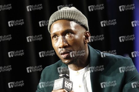 Pressekonferenz 'Green Book', Toronto International Film Festival 2018