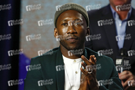 Pressekonferenz 'Green Book', Toronto International Film Festival 2018