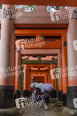 Sightseeing Kyoto