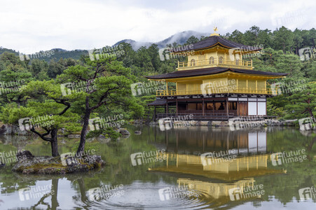 Sightseeing Kyoto