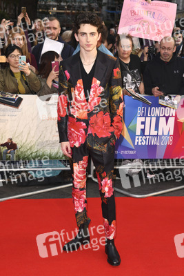 Filmpremiere 'Beautiful Boy', BFI London Film Festival 2018