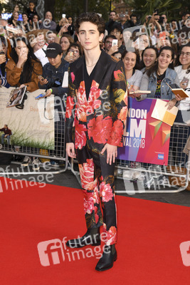 Filmpremiere 'Beautiful Boy', BFI London Film Festival 2018