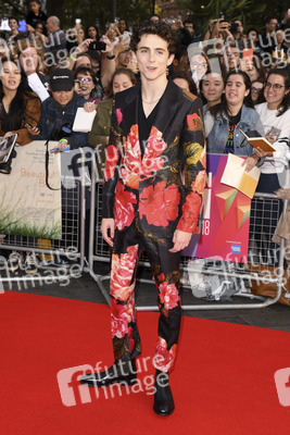 Filmpremiere 'Beautiful Boy', BFI London Film Festival 2018
