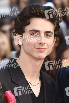Filmpremiere 'Beautiful Boy', BFI London Film Festival 2018