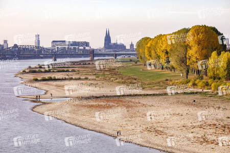 Niedrigwasser im Rhein in Köln