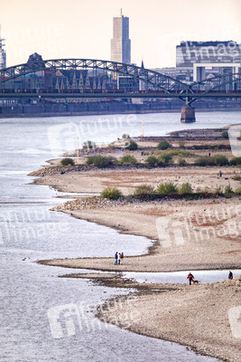 Niedrigwasser im Rhein in Köln