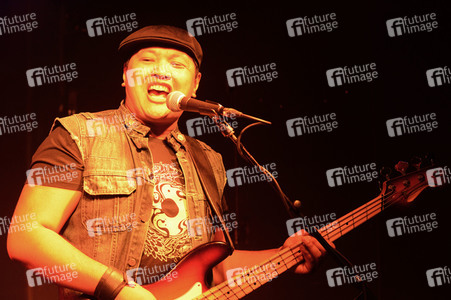 Konzert von The Steadies in Hannover