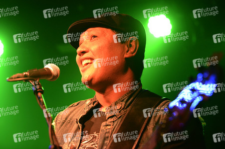 Konzert von The Steadies in Hannover