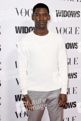 Filmscreening 'Widows - Tödliche Witwen' in London