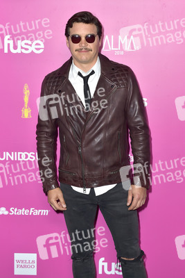 ALMAs 2018 in Los Angeles