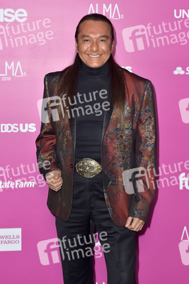 ALMAs 2018 in Los Angeles