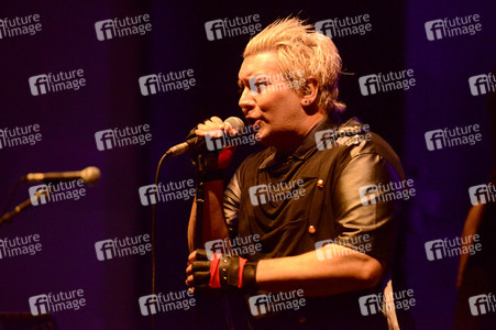 Konzert von Shelter in Hannover