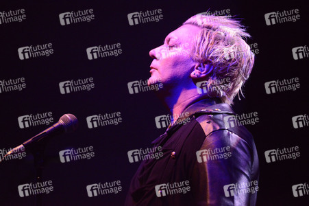 Konzert von Shelter in Hannover