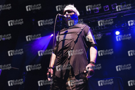 Konzert von Shelter in Hannover