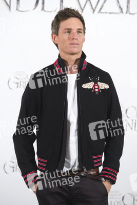 Photocall 'Phantastische Tierwesen: Grindelwalds Verbrechen' in Madrid