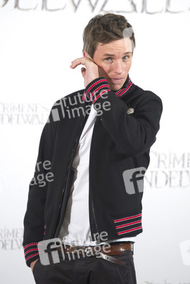 Photocall 'Phantastische Tierwesen: Grindelwalds Verbrechen' in Madrid