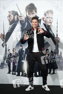 Photocall 'Phantastische Tierwesen: Grindelwalds Verbrechen' in Madrid