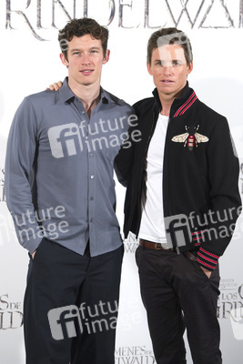 Photocall 'Phantastische Tierwesen: Grindelwalds Verbrechen' in Madrid