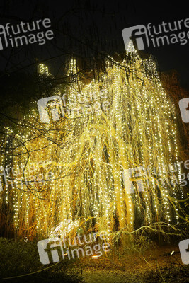 Eröffnung des Christmas Garden 2018 in Berlin