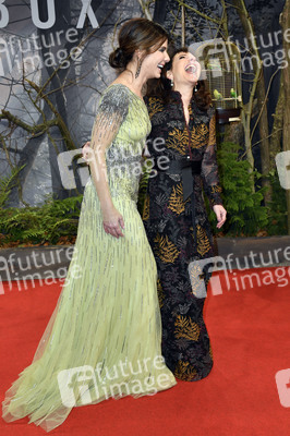 Filmpremiere 'Bird Box' in Berlin
