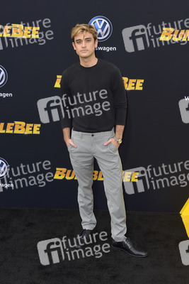 Filmpremiere 'Bumblebee' in Los Angeles