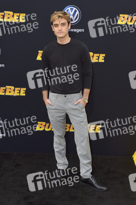Filmpremiere 'Bumblebee' in Los Angeles