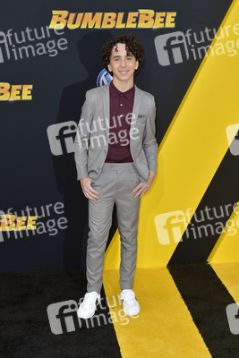 Filmpremiere 'Bumblebee' in Los Angeles