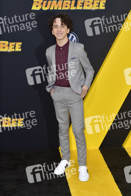 Filmpremiere 'Bumblebee' in Los Angeles