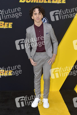 Filmpremiere 'Bumblebee' in Los Angeles