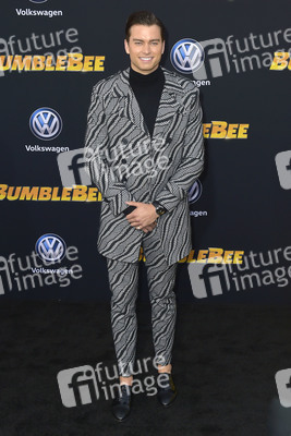 Filmpremiere 'Bumblebee' in Los Angeles