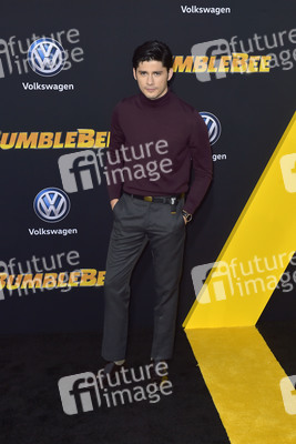 Filmpremiere 'Bumblebee' in Los Angeles