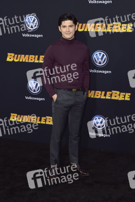 Filmpremiere 'Bumblebee' in Los Angeles