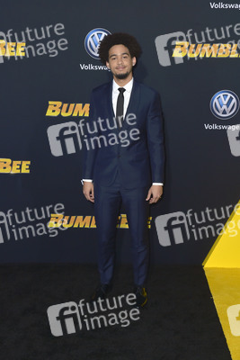 Filmpremiere 'Bumblebee' in Los Angeles