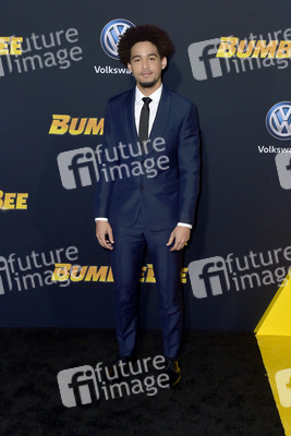 Filmpremiere 'Bumblebee' in Los Angeles