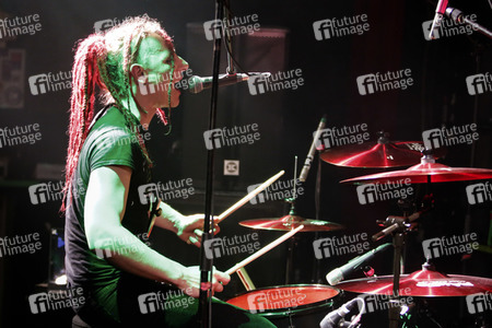 Konzert von Abstürzende Brieftauben in Hamburg