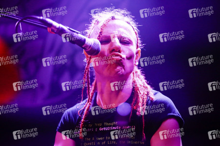 Konzert von Abstürzende Brieftauben in Hamburg
