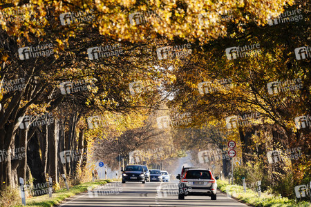 Symbolbild Landstraße